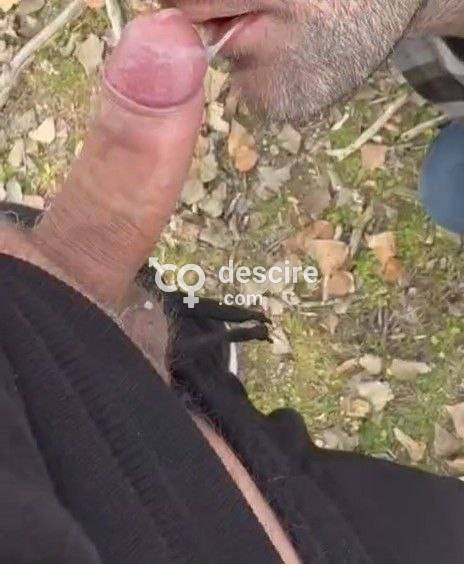 Pongo culo / boca para activos dominantes - Madrid - España