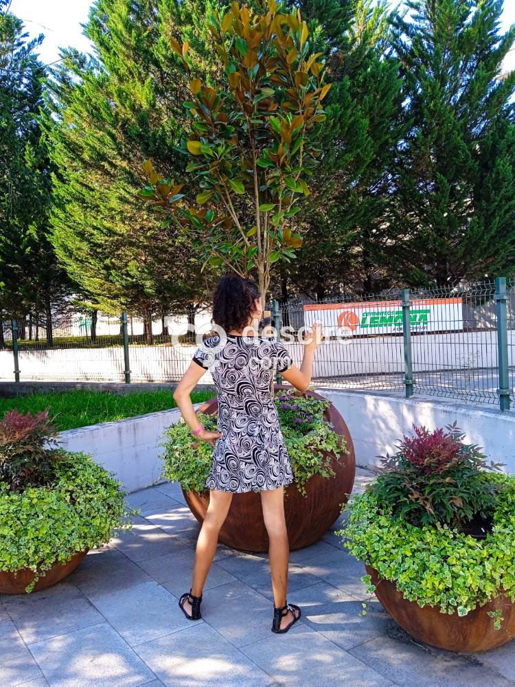 TRANS BILBAINA VASCA HAGO VIRTUAL VIDEOLLAMADAS Y REAL - Bilbao - España