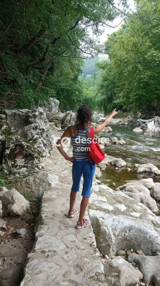 TRANS BILBAINA VASCA HAGO VIRTUAL VIDEOLLAMADAS Y REAL - Bilbao - España